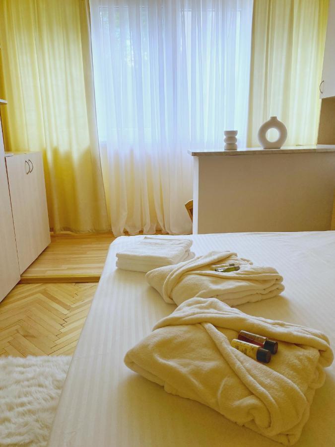 Апартаменти Timisoara Central Apartament Екстер'єр фото